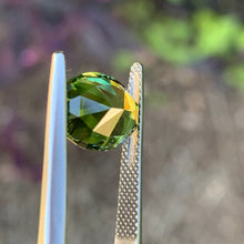 5.17ct Green Sapphire, Oval