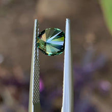 1.27ct Parti Australian Sapphire, Oval