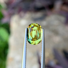 2.68ct Parti Australian Sapphire, Cushion