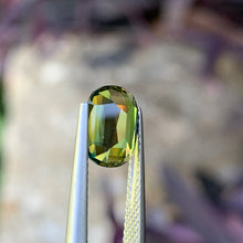 2.68ct Parti Australian Sapphire, Cushion