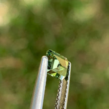 0.93ct Green Sapphire, Freeform