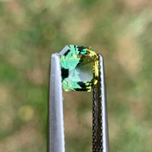 1.39ct Parti Sapphire, Octagon