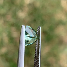 1.44ct Light Green Sapphire, Trillion