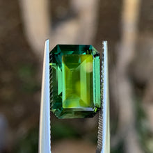8.25ct Green Australian Sapphire, Emerald Shape