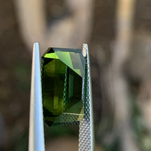 8.25ct Green Australian Sapphire, Emerald Shape