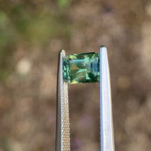 1.67ct Parti Sapphire, Emerald Shape