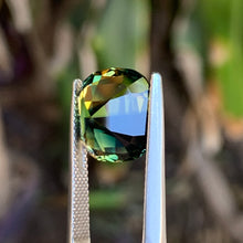 9.53ct Parti Sapphire, Cushion