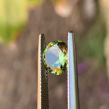 2.1ct Wattle Parti Sapphire, Round