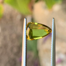 3.08ct Yellow Parti Sapphire, Shield