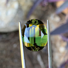 18.76ct Wattle Parti Australian Sapphire, Oval