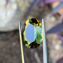 18.76ct Wattle Parti Australian Sapphire, Oval