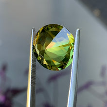 15.91ct Wattle Parti Australian Sapphire, Round