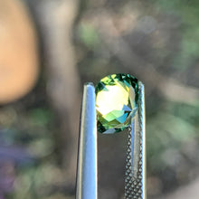 1.63ct Parti Australian Sapphire, Cushion