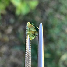 1.6ct Parti Australian Sapphire, Trillion