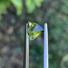 1.6ct Parti Australian Sapphire, Trillion