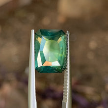 7.37ct Opalescent Green Australian Sapphire, Cushion