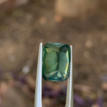 7.37ct Opalescent Green Australian Sapphire, Cushion