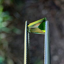 1.65ct Green Australian Sapphire, Freeform