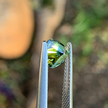 1.3ct Parti Australian Sapphire, Trillion