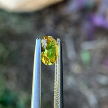 0.78ct Yellow Australian Sapphire, Oval