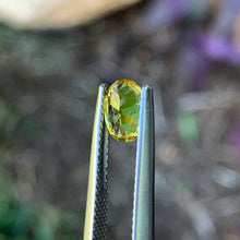 0.78ct Yellow Australian Sapphire, Oval