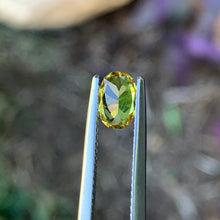 0.78ct Yellow Australian Sapphire, Oval