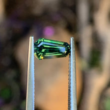 1.45ct Wattle Sapphire, Coffin Shape