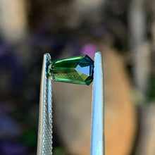 1.45ct Wattle Sapphire, Coffin Shape