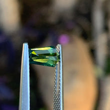 1.45ct Wattle Sapphire, Coffin Shape