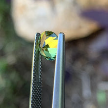 1.52ct Parti Australian Sapphire, Round