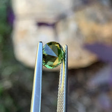 1.52ct Parti Australian Sapphire, Round