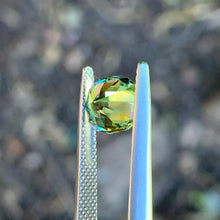 2.48ct Parti Sapphire, Cushion