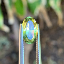 3.62ct Parti Sapphire, Cushion