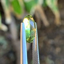 3.62ct Parti Sapphire, Cushion