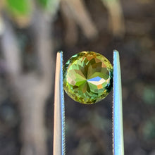 3.65ct Parti Sapphire, Round