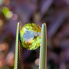 3.65ct Parti Sapphire, Round