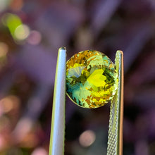 3.65ct Parti Sapphire, Round