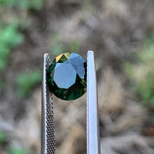 3.29ct Forest Green Sapphire, Round