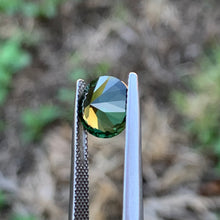 3.29ct Forest Green Sapphire, Round