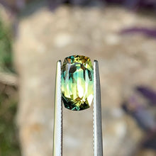 3.8ct Wattle Parti Sapphire. Cushion