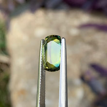3.8ct Wattle Parti Sapphire. Cushion