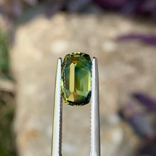 3.8ct Wattle Parti Sapphire. Cushion