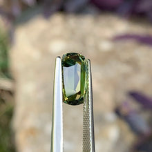 3.8ct Wattle Parti Sapphire. Cushion