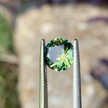 2.89ct Parti Sapphire, Round