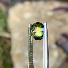 2.89ct Parti Sapphire, Round