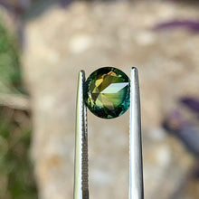 2.89ct Parti Sapphire, Round