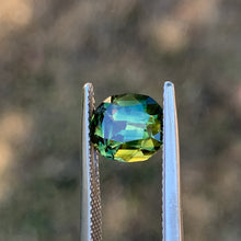 2.94ct Parti Sapphire, Cushion