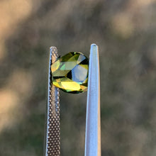 2.94ct Parti Sapphire, Cushion