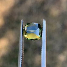 2.94ct Parti Sapphire, Cushion