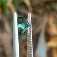 2.5ct Parti Australian Sapphire, Trillion